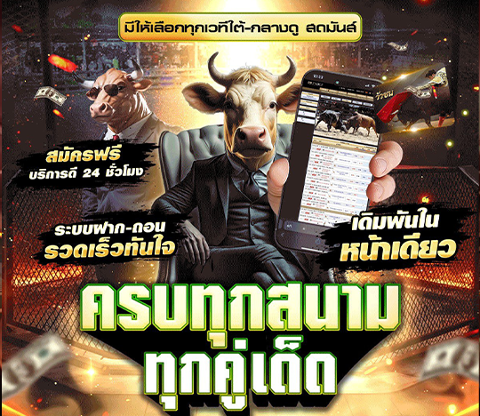 วัวชน กีฬาออนไลน์