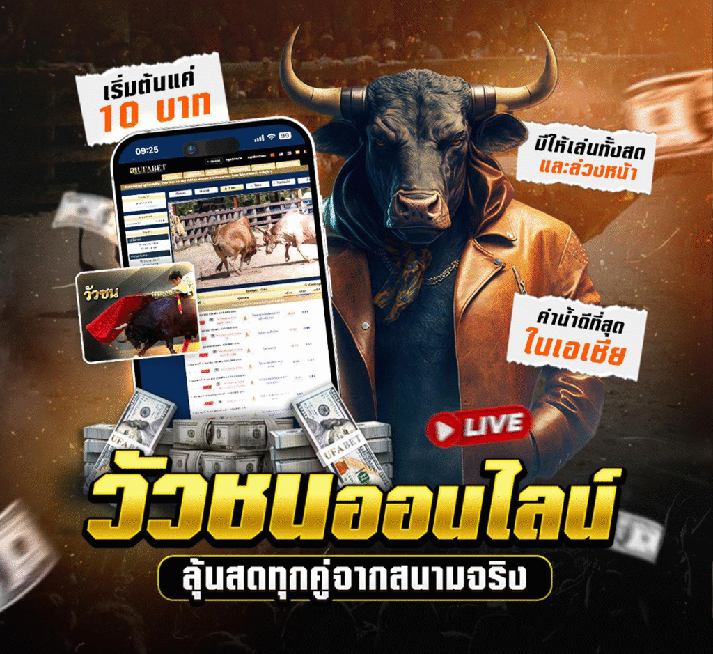 วัวชนออนไลน์